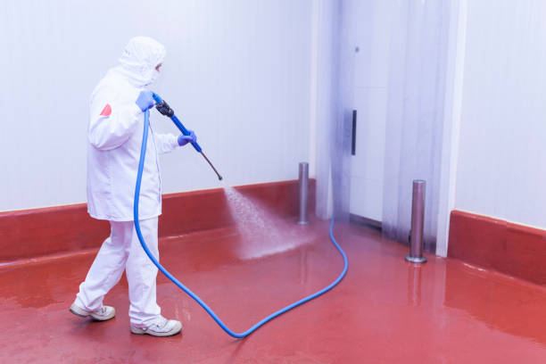 Best Paint Preparation  in West Glendive, MT